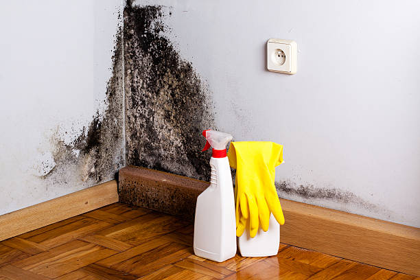 Crawl Space Mold Removal in Lowell, MA